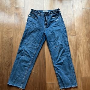 Everlane The Way High Jean 28, medium wash, raw hem.
